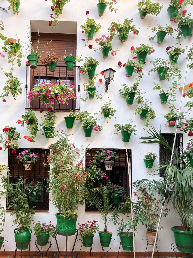 cordoba patio, cordoba, andalusia-6319141.jpg