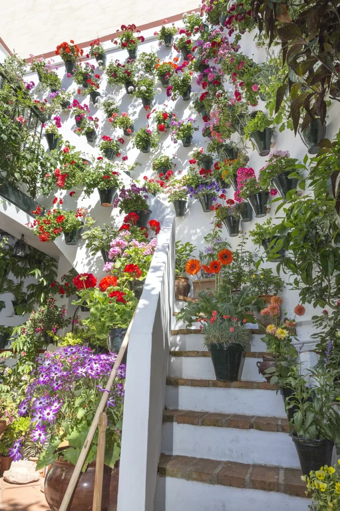 courtyards, cordoba, patios of cordoba-1527206.jpg