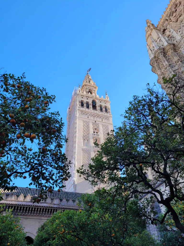 Photo of Giralda Tower peering above the trees in Seville